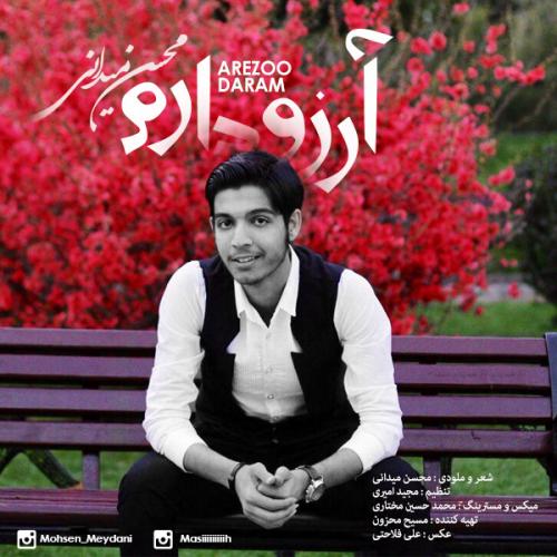 دانلود آهنگ آرزو دارم